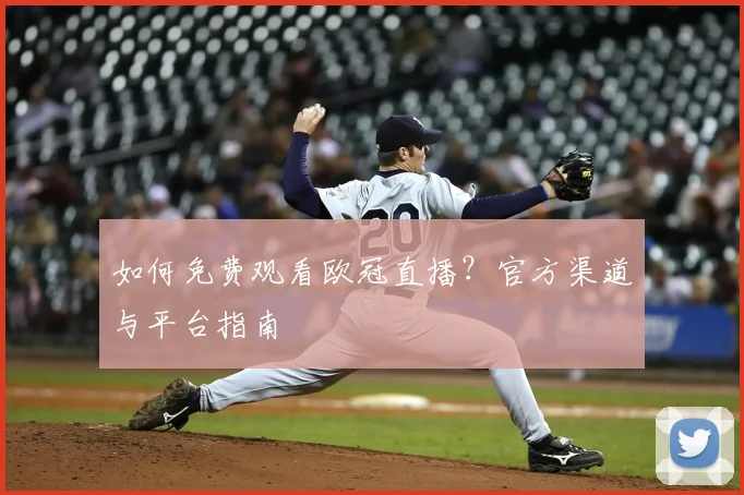 如何免费观看欧冠直播?官方渠道与平台指南
